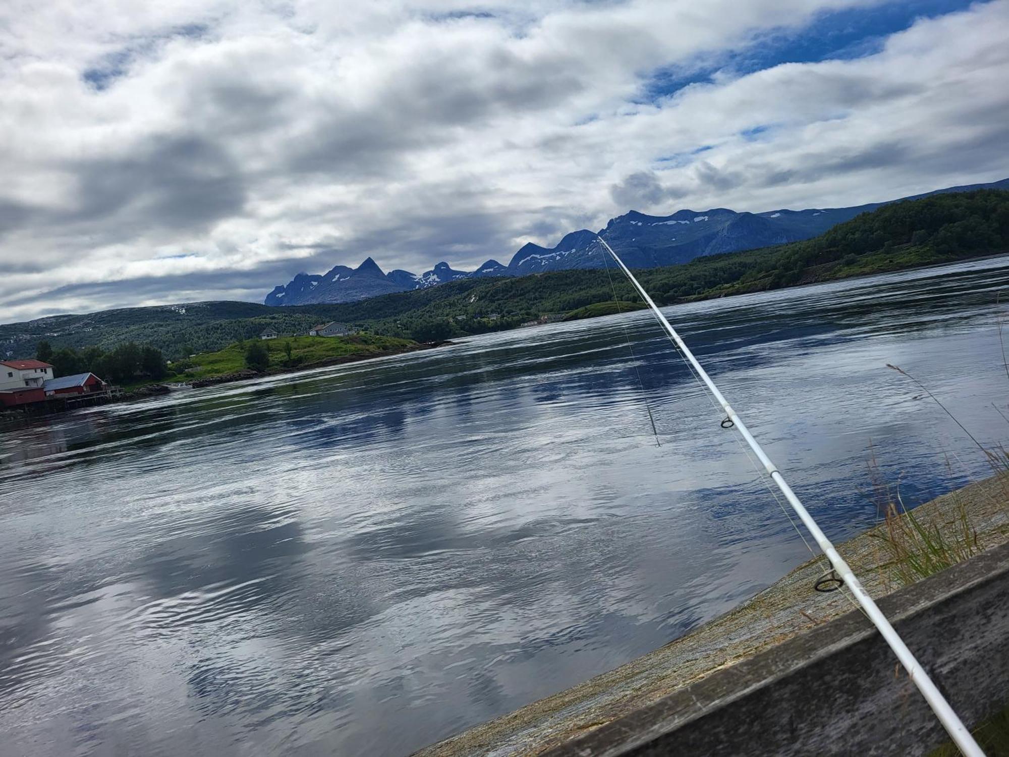 Sokkelleilighet Rett Ved Saltstraumen Bodø Dış mekan fotoğraf